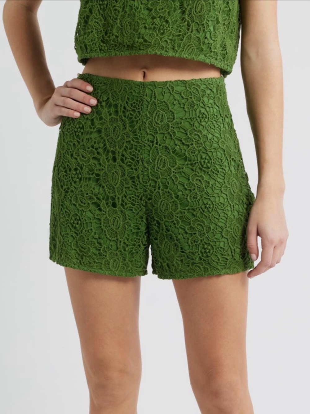 Cleobella Alastair Floral Guipure Garden Green Lace High-Waist Shorts Size Small